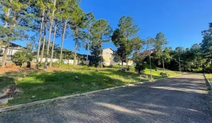 Terreno à venda na Rua Intendente Antônio Damasco, 2430, Ratones, Florianópolis por R$ 600.000