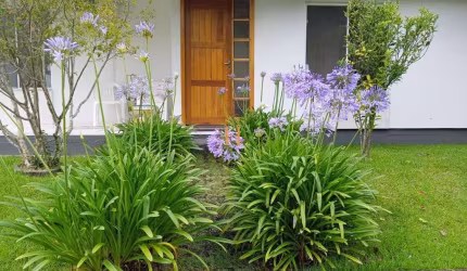 Casa em condomínio fechado com 2 quartos à venda na Rulivan Gracie, 69, Sul do Rio, Santo Amaro da Imperatriz por R$ 850.000
