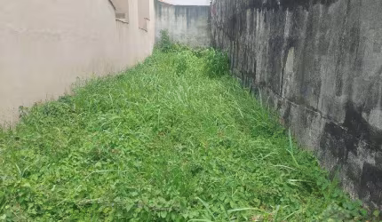 Terreno à venda, 125 m² por R$ 320.000,00 - Parque São Vicente - Mauá/SP