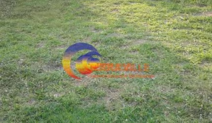 Terreno para Venda em Santana De Parnaíba, Jardim Professor Benoá, 3 dormitórios, 4 vagas