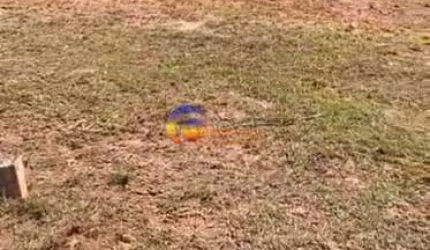 Terreno para Venda em Santana De Parnaíba, Santa Anna