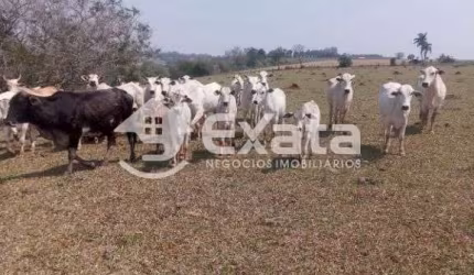 Sitio para venda em Itapetininga