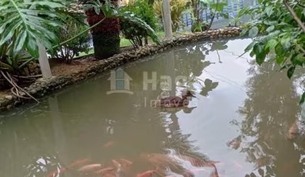 Sítio à venda em Blumenau/SC
