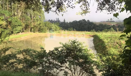 Sítio à venda em José Boiteux/SC