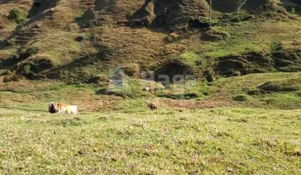 Sítio à venda em Angelina/SC