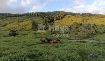 Terreno rural à venda em Angelina/SC