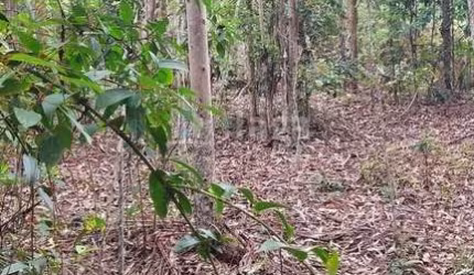 Sítio à venda em São João Batista/SC