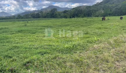 Chácara à venda em Canelinha/SC