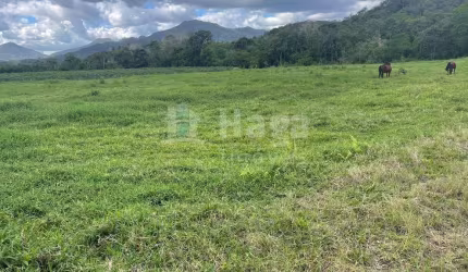 Sítio à venda em Canelinha/SC