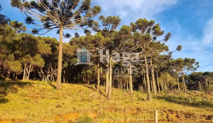 Sítio à venda em Bom Jardim da Serra/SC