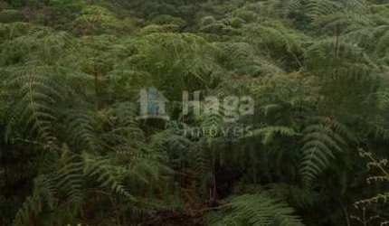 Terreno rural para chácara à venda em Guabiruba/SC