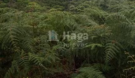 Terreno rural para sítio à venda em Guabiruba/SC