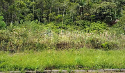 Terreno à venda no bairro Nova Brasília em Brusque/SC