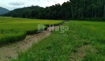 Terreno rural para chácara à venda no bairro Pomerânia em Guabiruba/SC