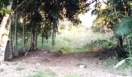 Sítio à venda no bairro Imigrantes em Guabiruba/SC
