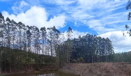 Fazenda à venda em Major Gercino/SC