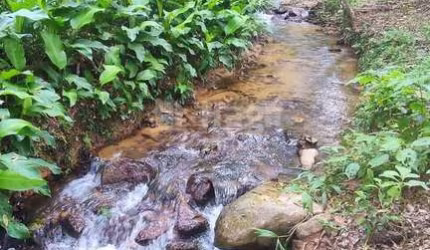 Chácara à venda em Major Gercino/SC