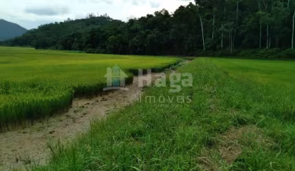 Terreno rural para sítio à venda no bairro Pomerânia em Guabiruba/SC