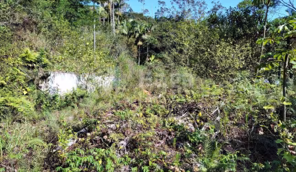 Terreno residencial ou comercial no bairro Primeiro de Maio em Brusque/SC