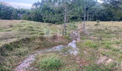 Chácara à venda em Nova Trento/SC