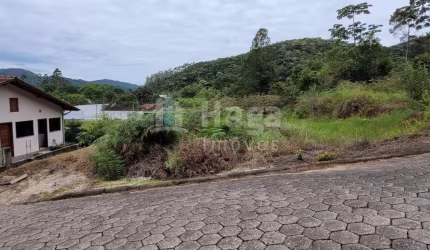 Terreno à venda no bairro Centro em Nova Trento/SC