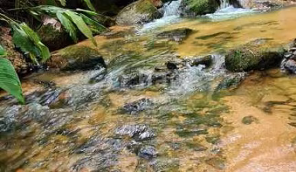 Sítio à venda em Nova Trento/SC