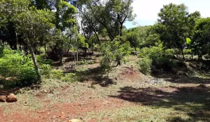 Terreno à venda no Morro da Borússia, Osório  por R$ 135.000