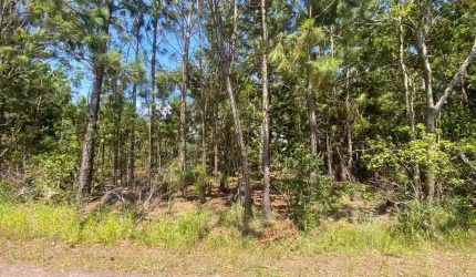Terrenos no Serramar