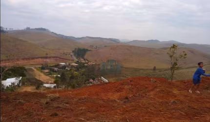 Terreno à venda, 625 m² por R$ 60.000,00 - Grama - Juiz de Fora/MG