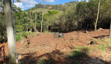 Terreno à venda, 4100 m² por R$ 195.000,00 - Salvaterra - Juiz de Fora/MG