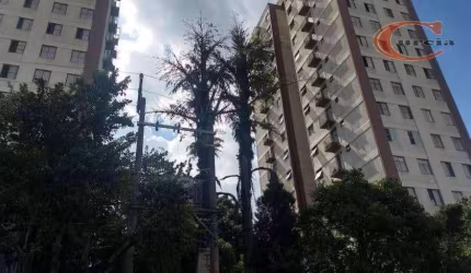 Apartamento com 2 dormitórios à venda, 58 m² por R$ 320.000,00 - Vila Campestre - São Paulo/SP