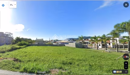 Terreno comercial à venda na Rodovia Virgílio Várzea, 4801, Canasvieiras, Florianópolis, 600 m2 por R$ 1.100.000