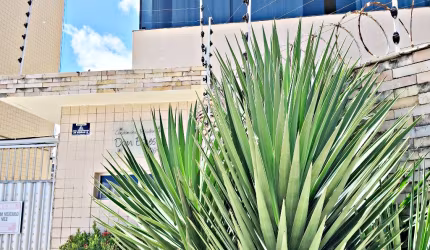 Apartamento à venda na Praia do Meio – A 100 Metros da Praia! Próximo ao Hospital Universitário.