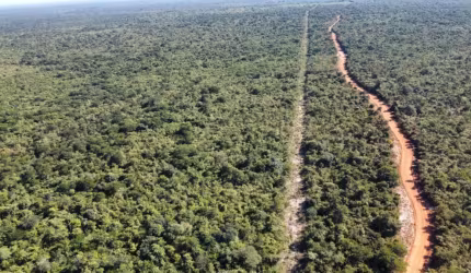 fazenda disponível á venda ligue 86 98106 0359