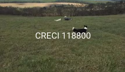 Chácara/Sítio para Venda Centro Salto de Pirapora