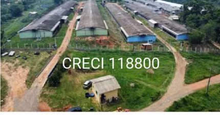 Chácara/Sítio para Venda Fazenda Velha Cesário Lange