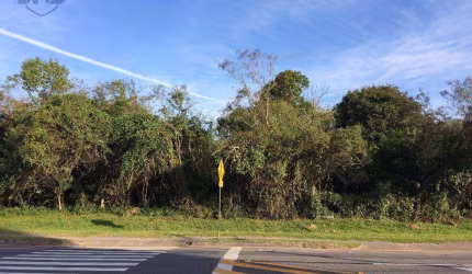Terreno à venda, 5292 m² por R$ 3.816.000,00 - Vorstadt - Blumenau/SC