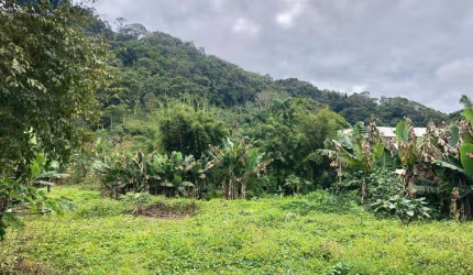 Terreno à venda, 2.633 m² por R$ 530.000,00 - Progresso - Blumenau/SC