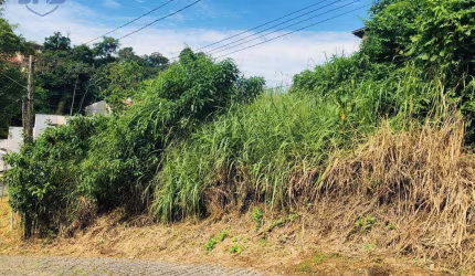 Terreno à venda, 450 m² por R$ 219.000,00 - Asilo - Blumenau/SC