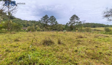 Terreno à venda, 63370 m² por R$ 3.500.000,00 - Fortaleza Alta - Blumenau/SC