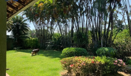 Terreno à venda, 6340 m² por R$ 4.500.000,00 - Passo Manso - Blumenau/SC