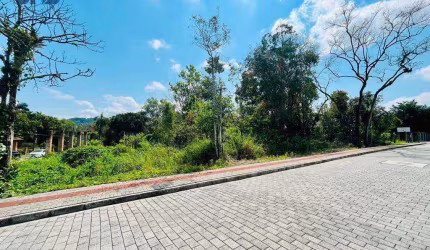 Terreno à venda, 4088 m² por R$ 5.000.000,00 - Velha - Blumenau/SC