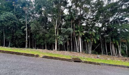 Terreno à venda, 765 m² por R$ 500.000,00 - Velha - Blumenau/SC