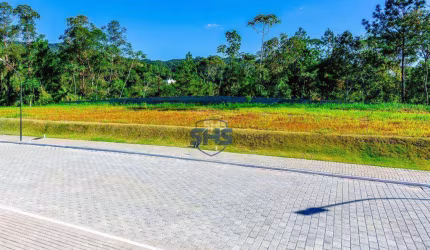 Terreno à venda, 352 m² por R$ 599.000,00 - Velha - Blumenau/SC