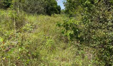 Vendo Fazenda 172ha em Araças da Prata.