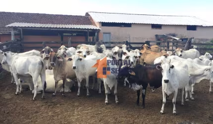 Fazenda à venda, 1258400 m² por R$ 9.100.000 - Banqueiros - Araruama/RJ