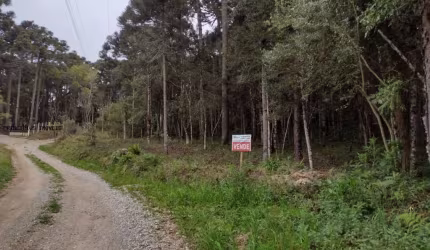 Chácara para Venda em Campina Grande do Sul, BARBAQUÁ DA PALMEIRINHA