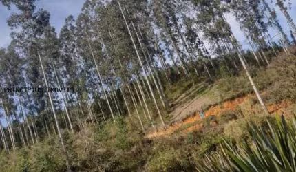 Chácara para Venda em Quatro Barras, RIBEIRÃO DO TIGRE
