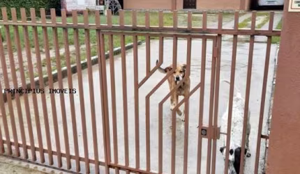 Casa para Venda em Campina Grande do Sul, JARDIM DA COLINA, 4 dormitórios, 1 suíte, 2 banheiros, 2 vagas