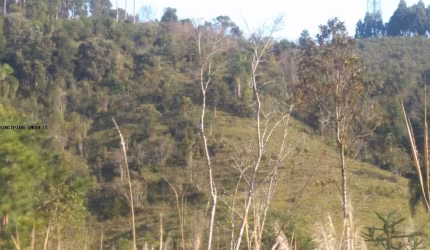 Chácara para Venda, PAIOL DE BAIXO